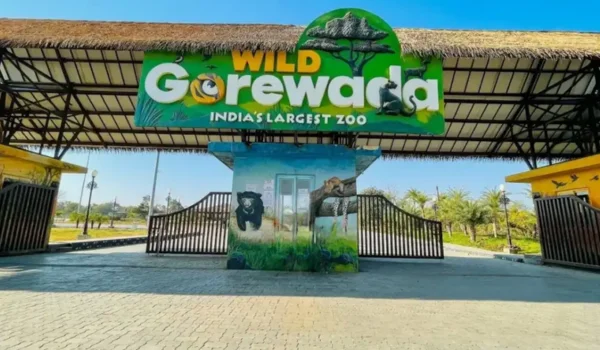 Gorewada Zoo – Ticket Price, Timing, Location, Animals, Safari, Parking & More
