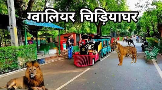 Gwalior Zoo (Gandhi Prani Udhyan) – Timing, Ticket Price, Location, Animals & Facilities