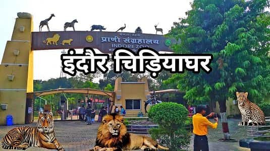 Indore Zoo (Kamla Nehru Prani Sangrahalaya) – Timing, Ticket Price, Location, Animals, Parking & More