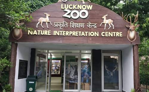 Lucknow Zoo – Timing, Ticket Price, Location, Animals, Parking & More