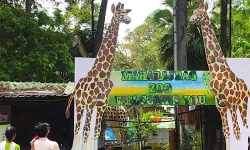 Maharaj Bagh Zoo, Nagpur – Ticket Price, Timing, Location, Animals, Parking & More