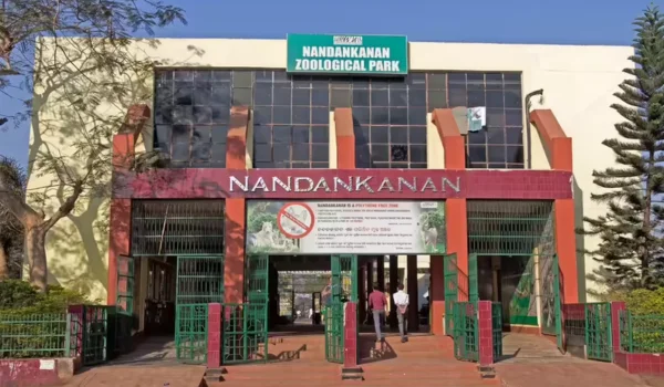 Nandankanan Botanical Garden – Ticket Price, Timing, Location, Animals, Safari, Parking & More