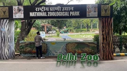 National Zoological Park Delhi – Ticket Price, Timing, Location, Animals, Parking & More