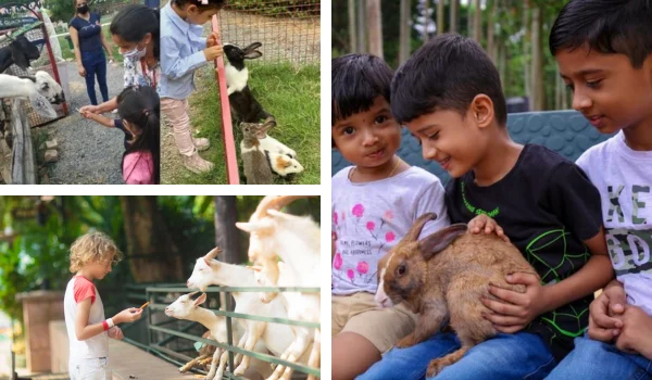 Pet Zoo in India: A Fun-Filled Experience for Families, Kids & Animal Lovers 🐾