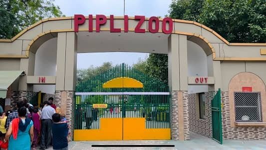 Pipli Mini Zoo, Haryana – Ticket Price, Timing, Location, Animals, Attractions & Visitor Tips