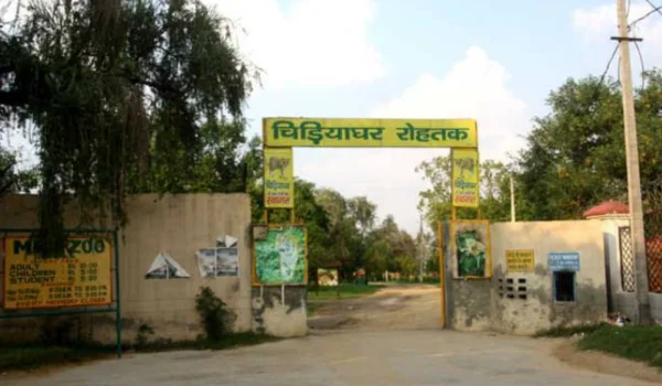 Rohtak Zoo (Tilyar Zoo) – Ticket Price, Timing, Location, Animals, Parking & More
