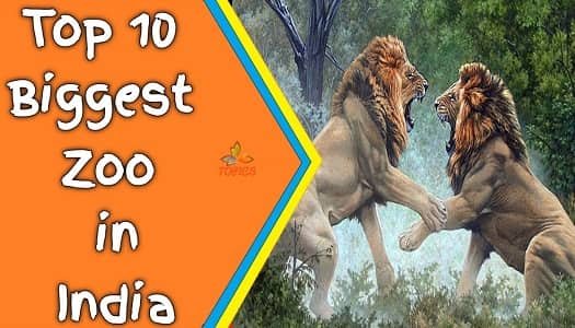 Top 10 Biggest Zoos in India