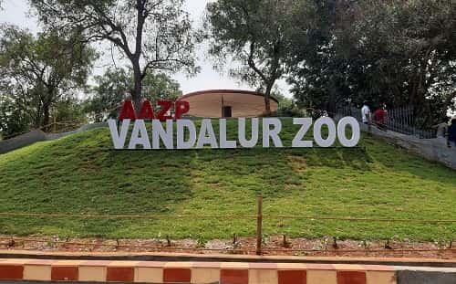 Vandalur Zoo