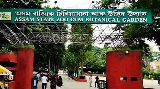 Zoo Road, Guwahati – Ticket Price, Timing, Location, Animals, Parking & More