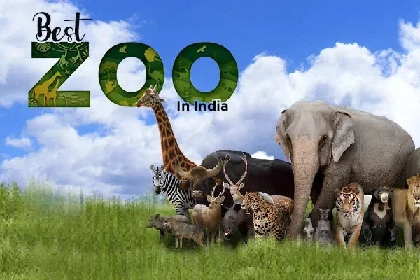 Best Zoo in India: Ticket Price, Timing, Safari Details & Attractions