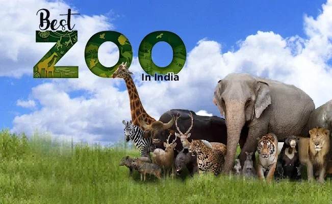 Best Zoo in India