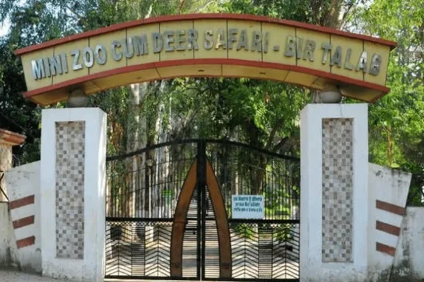 Bir Talab Zoo Bathinda: Ticket Price, Timing, Safari Details & Attractions