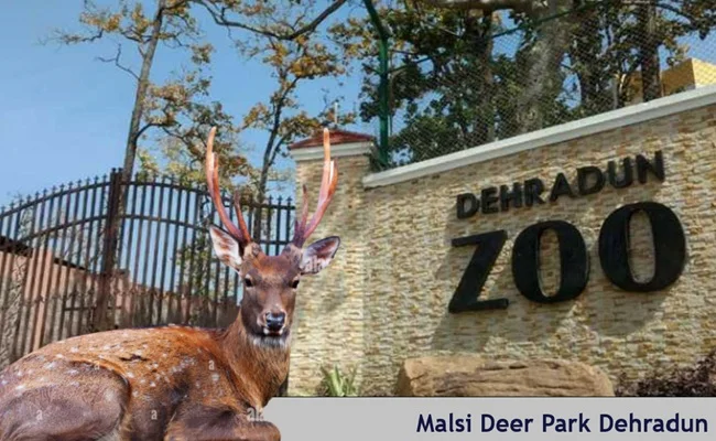 Dehradun Zoo (Malsi Deer Park)