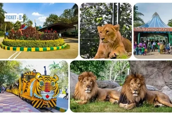 Hyderabad Zoo Timings 2026: Ticket Price, Timing, Safari Details & Attractions