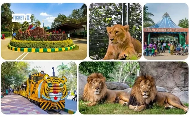 Hyderabad Zoo Timings