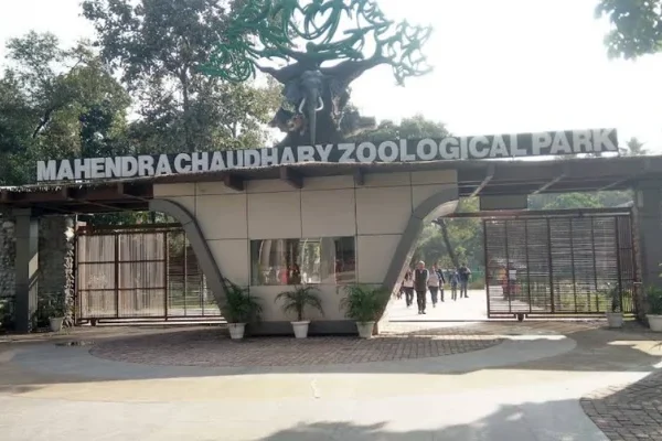 Chhatbir Zoo Timings 2026: Opening Hours, Ticket Price, Animals, Major Attractions & How to Reach