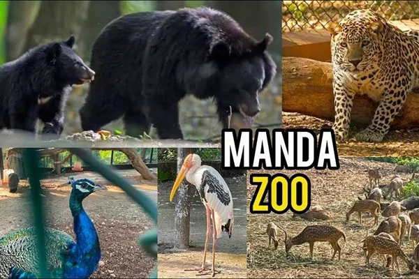 Manda Zoo Park Jammu: Ticket Price, Timing, Safari Details & Attractions