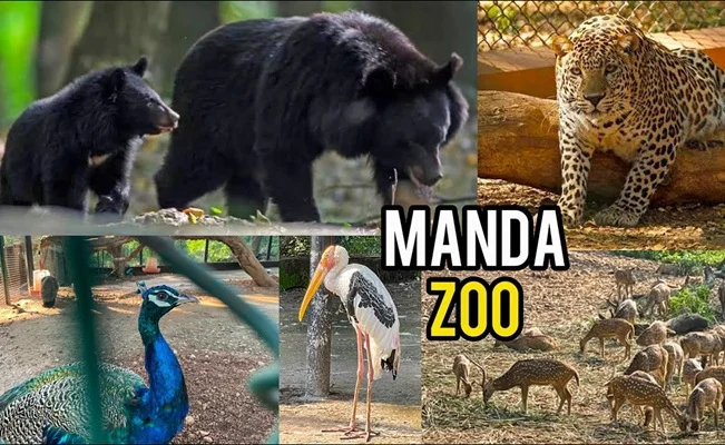Manda Zoo Park Jammu