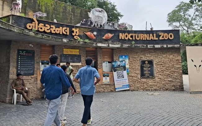 Nocturnal Zoo