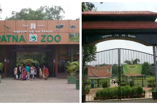 Patna Zoo Opening Time 2026: Ticket Price, Timing, Safari Details & Attractions