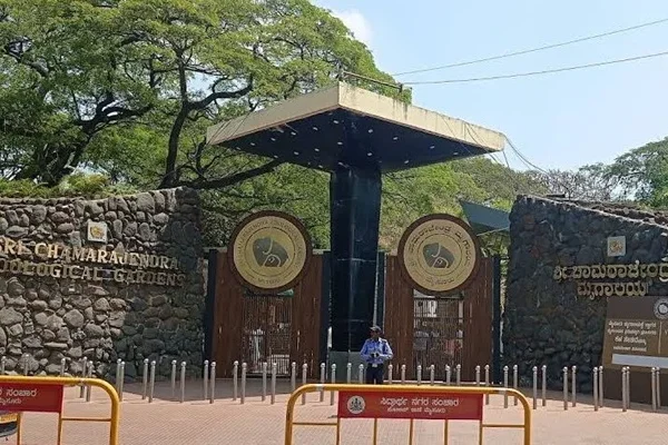 Sri Chamarajendra Zoological Gardens (Mysuru Zoo): Ticket Price, Timing, Safari Details & Attractions