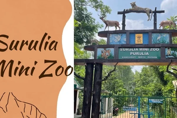 Surulia Mini Zoo: Ticket Price, Timing, Safari Details & Attractions