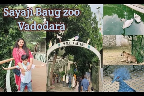 Vadodara Zoo (Sayaji Baug Zoo): Ticket Price, Timing, Safari Details & Attractions