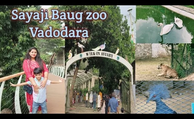 Vadodara Zoo (Sayaji Baug Zoo)