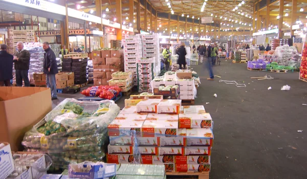 How to Start a Wholesale Business in India: Step-by-Step Guide for Beginners (2026)