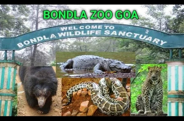 Zoo in Goa: Timing, Ticket Price, Address, Wildlife Attractions & Facilities
