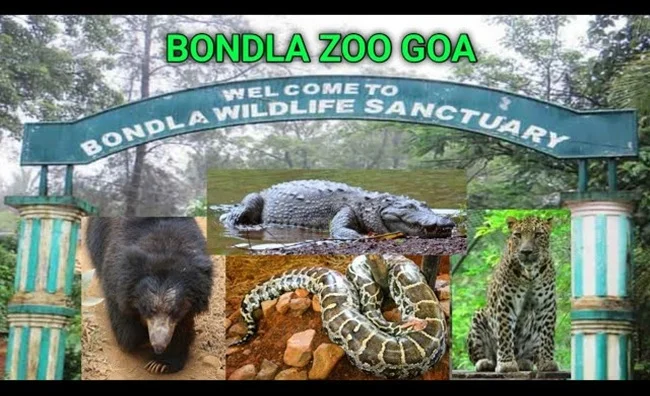Zoo in Goa