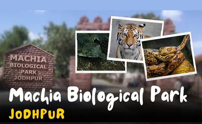 zoo in jodhpur